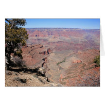 Grand Canyon Views Greeting Cards