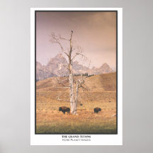 Grand Tetons Poster