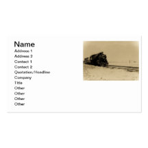Grand Trunk Western #5042 Business Card