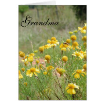 Grandma Cards