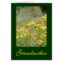 Grandmother Card