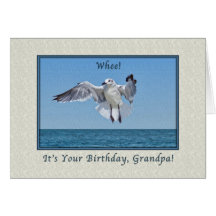 Grandpa's Laughing Gull Bird Birthday Card
