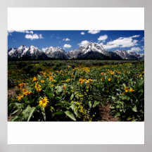 GrandTetons Posters