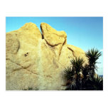 Granite Boulder And Young Joshua Tree Post Card