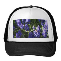 Grape Hyacinths Trucker Hats