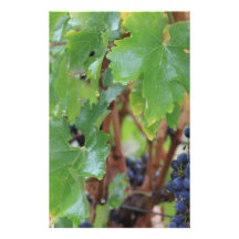 Grape Leaves Personalized Stationery
