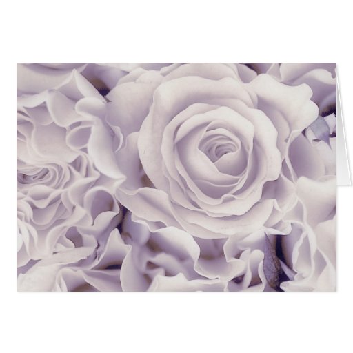 Grape Satin, Mauve Roses Bouquet, floral, template Cards