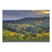 Grapes Over a Valley Photo Art
