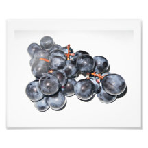 Grapes Vitis vinifera Photo Print