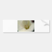 grasping bumper sticker