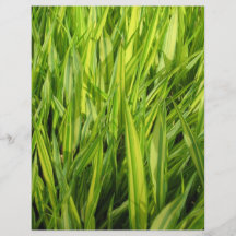 grass personalized flyer