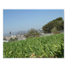 Grass Photographic Print