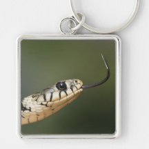 Grass Snake Keychains