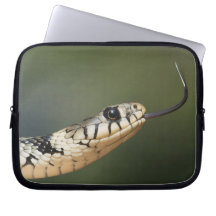 Grass Snake Laptop Sleeve