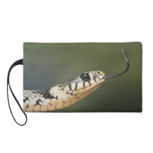 Grass Snake Wristlets