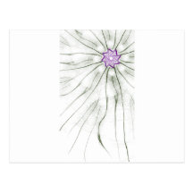 grassy flowers postcards