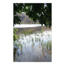 Grassy Lake with Tree Branch Stationery