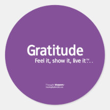 Gratitude Thought Shapers™ Stickers