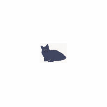Gray Kitty magnet Photo Cutout