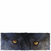 GRAY WOLF EYES (sculpted) Wildlife Gift Item Photo Cutout