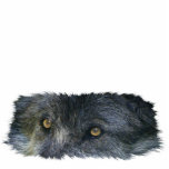 GRAY WOLF EYES (sculpted) Wildlife Magnet Acrylic Cut Outs