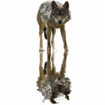 GRAY WOLF (sculpted) Wildlife Magnet Acrylic Cut Outs