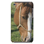 Grazing Draught   Horse ITouch Case Barely There iPod Case