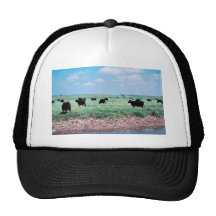 Grazing on Wetland (cows) Trucker Hat