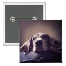 Great Dane Button