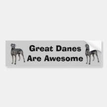 Great Dane King of Dogs Bumper Sticker