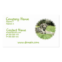 Great Dane Puppy Business Card