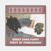 GREAT DANE PUPPY REFRIGERATOR MAGNET