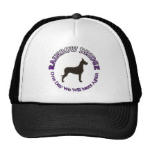 GREAT DANE RAINBOW BRIDGE SYMPATHY MESH HATS
