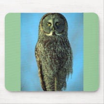 Great grey owl, Bruce Penninsula Mouse Pad