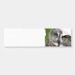 Great Grey Owl Bumper Sticker