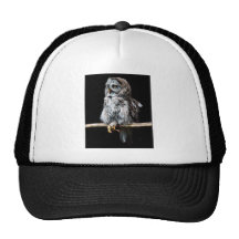 Great grey owl cap mesh hats