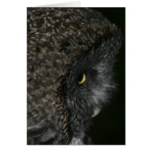 Great Grey Owl Greeting Card