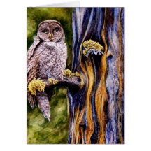 Great Grey Owl, Greeting Card