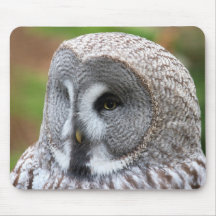 Great Grey Owl Mousepad