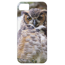 Great Horned Owl 1 iPhone 5 Case