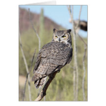 Great Horned Owl Card