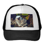 Great Horned Owl Chick Mesh Hats