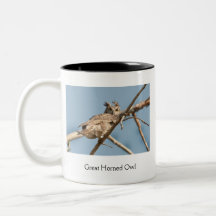 Great Horned Owl (Light) Mugs