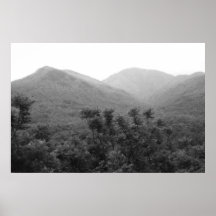Great Smoky Mountains B?W Poster