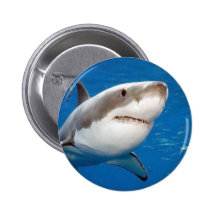 Great White Shark Pins