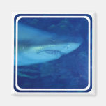 Great White Shark Square Magnet