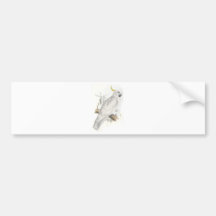 Greater Sulphur-Crested Cockatoo by Edward Lear Bumper Stickers