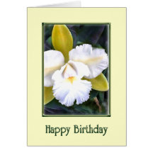 Green and White Cattleya Orchid Birthday Card