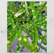 Green and Yellow speckled leaves Flyer Design