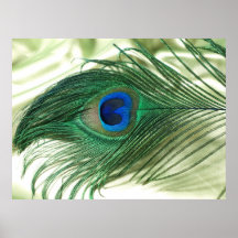 Green Apple Peacock Sill Life Posters